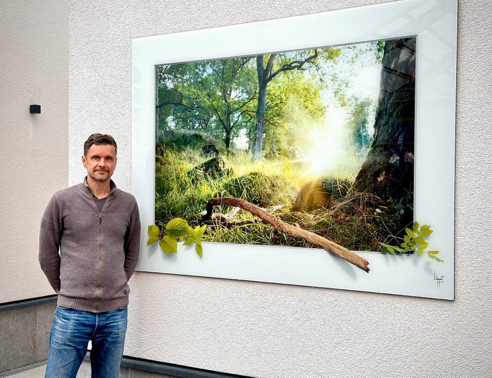 Konstverket ”Forest and sun”, Mattias Liljeqvist 2023. Beställd av Riksbyggen Linköping